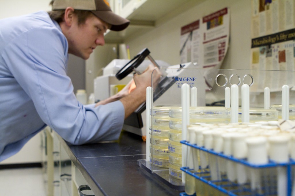 Le chef de laboratoire Zac Gleason inventorie le nombre de virus vivants dans un échantillon d’eau.