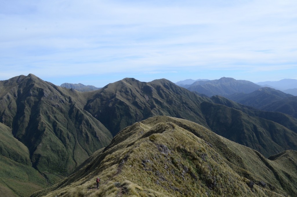 The Tararua Ranges on the southern end of New Zealand's North Island are the first major mountains on Te Araroa. 