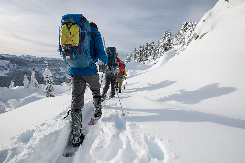 snowshoeing in the backcountry