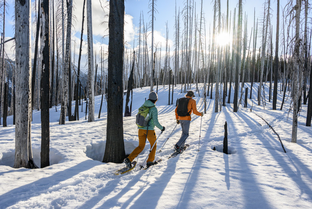 Two snowshoers hiking through forest