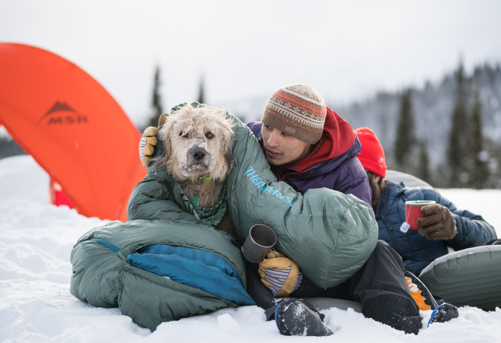 Keeping trail dog warm in snowy conditions