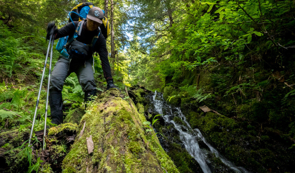 Backpacker climbing down moss covered rocks along a stream.
