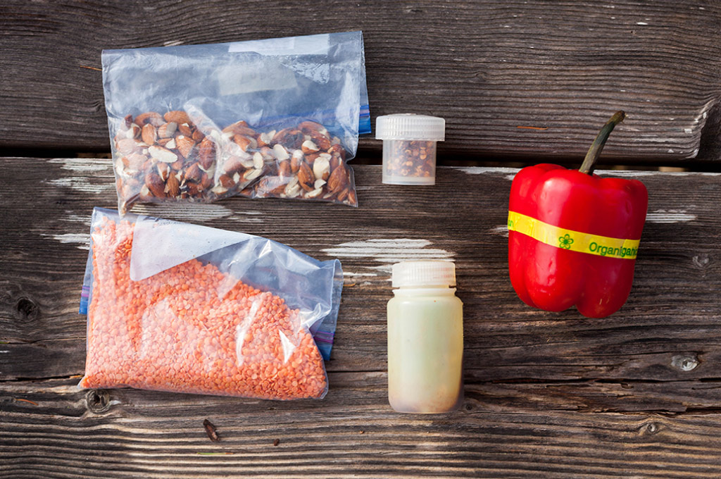 Prepacked ingredients in plastic bags and jars