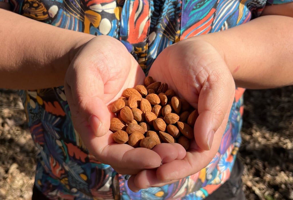 Almonds in hand - high protein backpacking snack