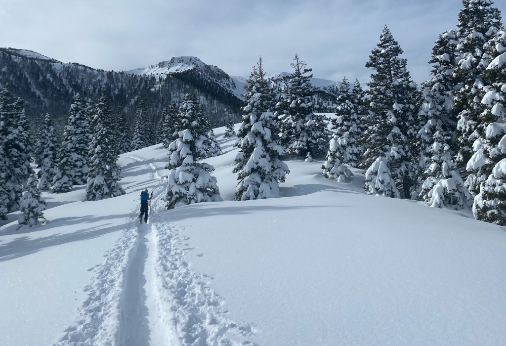 Backcountry skiers in valley