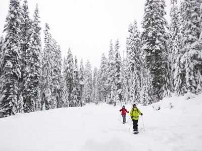 MSR Revo Trail Snowshoes