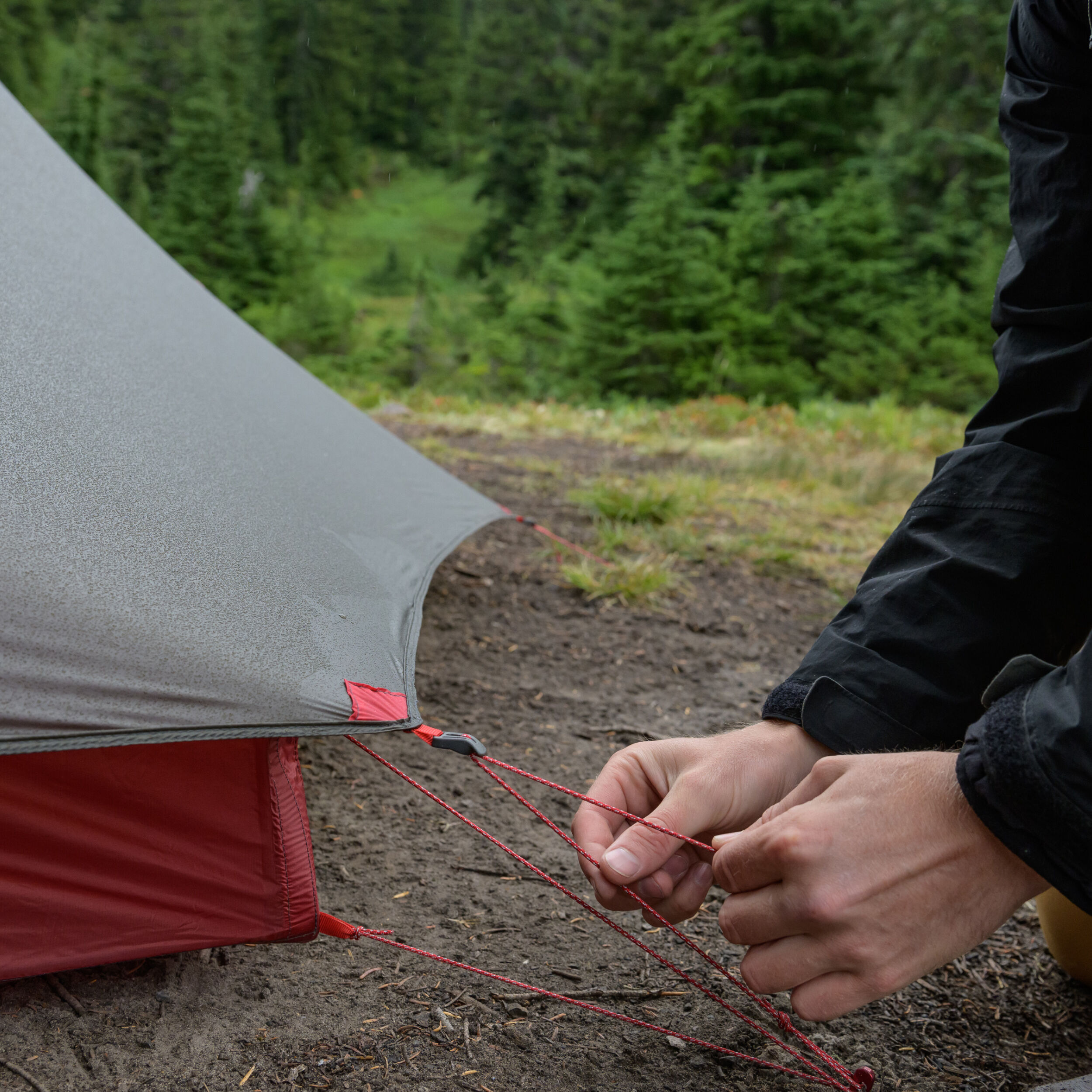 FreeLite™ 2 ǀ Ultralight 2-Person Backpacking Tent ǀ MSR®