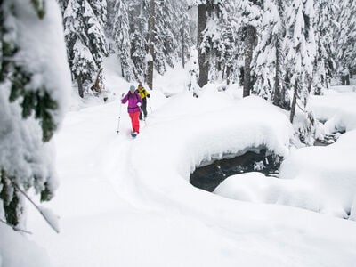 Revo™ Trail-Schneeschuhe, , large